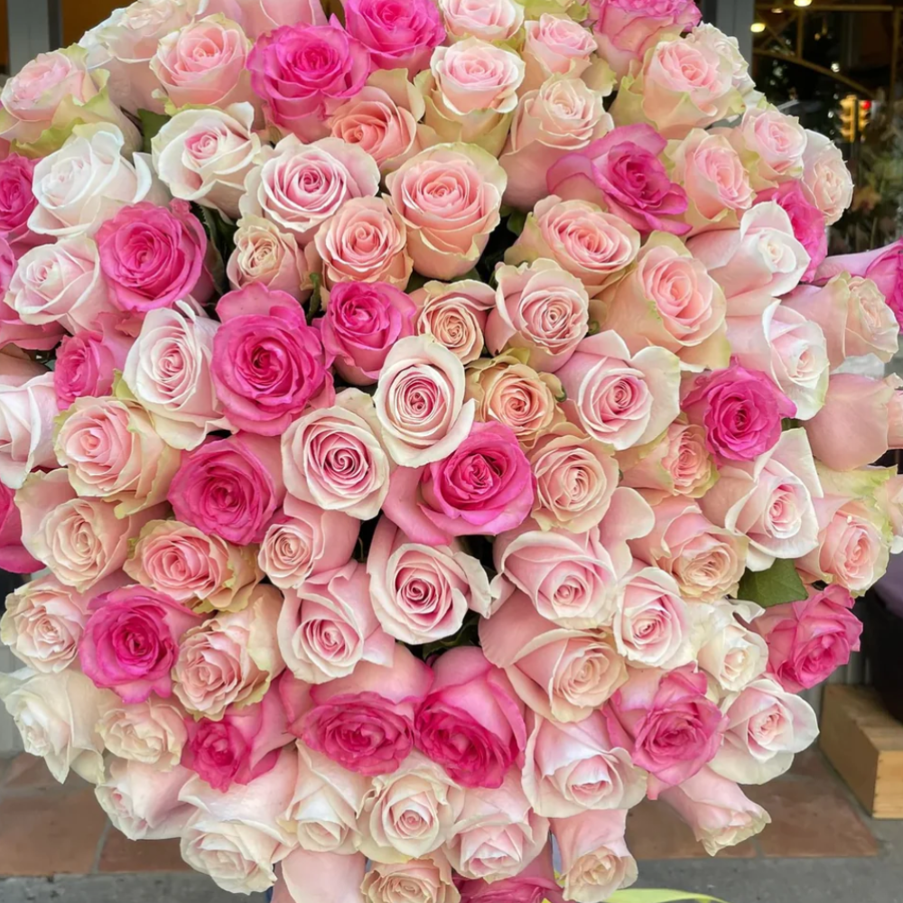 Bouquet of pink and white roses with a blurred background