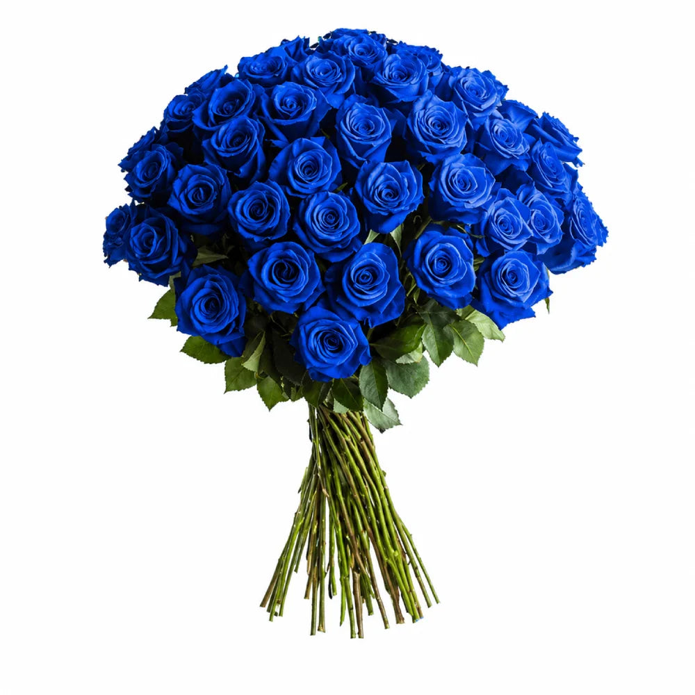 Bouquet of blue roses on a white background