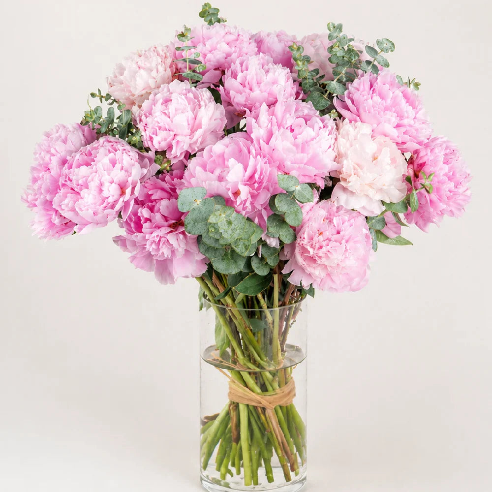 Bouquet of pink flowers in a clear vase on a white background