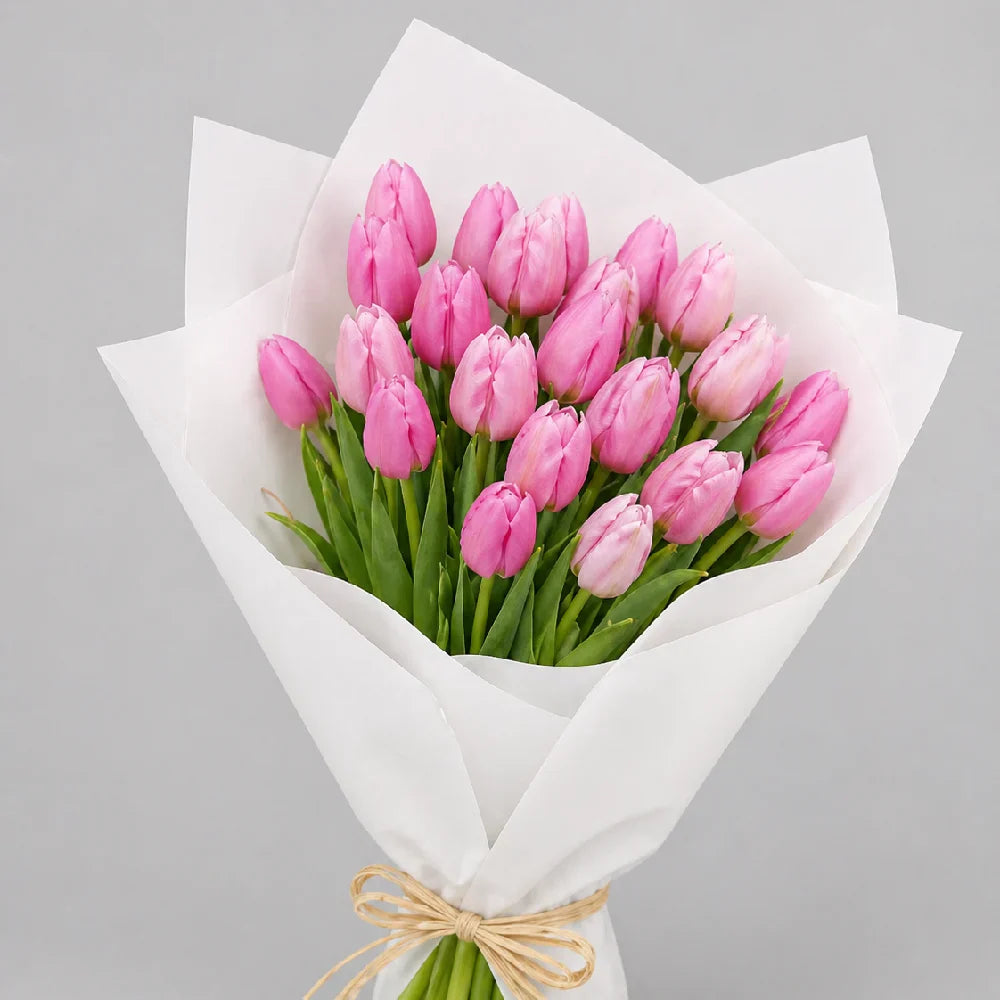 Bouquet of pink tulips wrapped in white paper with a beige ribbon on a gray background