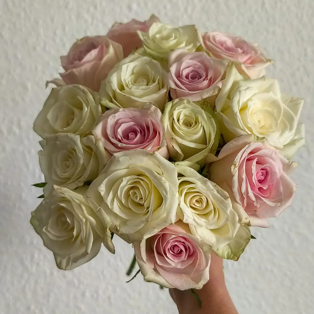 Eternity Rose