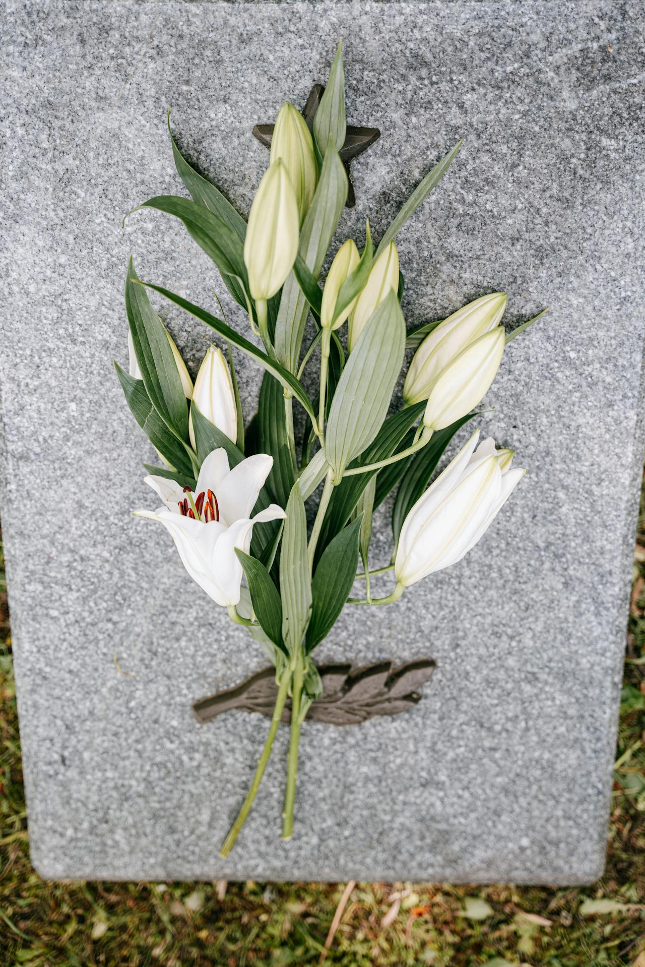 Sympathy