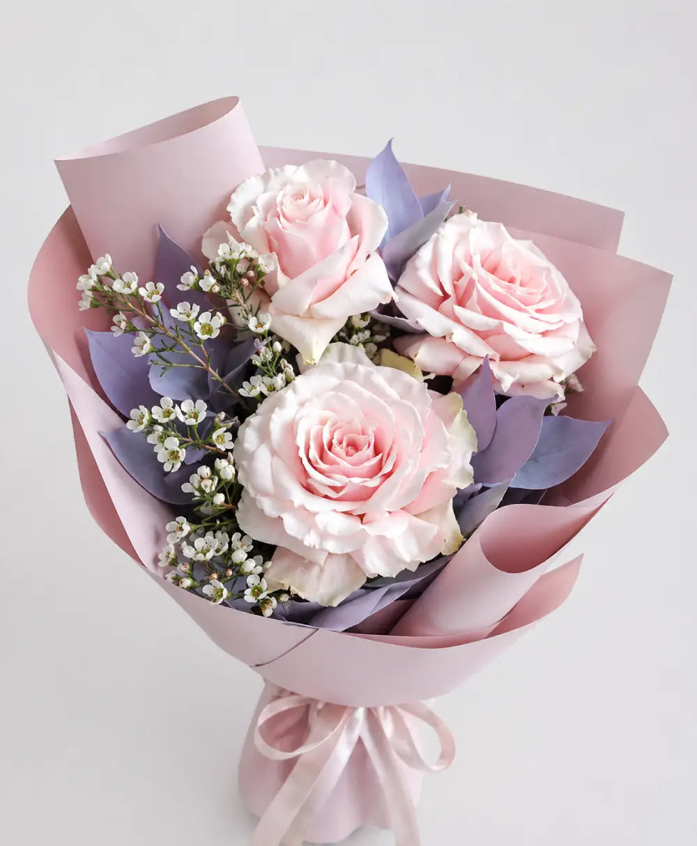 Bouquet of pink roses wrapped in pink paper with a white background