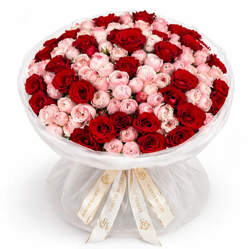 Bouquet of red and pink roses with decorative ribbons on a white background