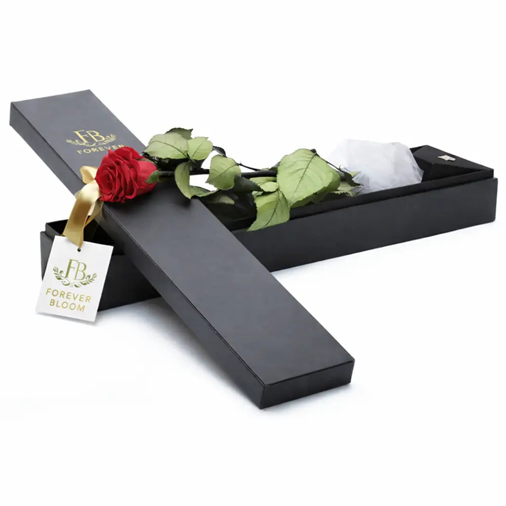 Black box with a red rose and green leaves, featuring 'Forever Bloom' branding.