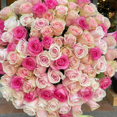 Bouquet of pink and white roses with a blurred background