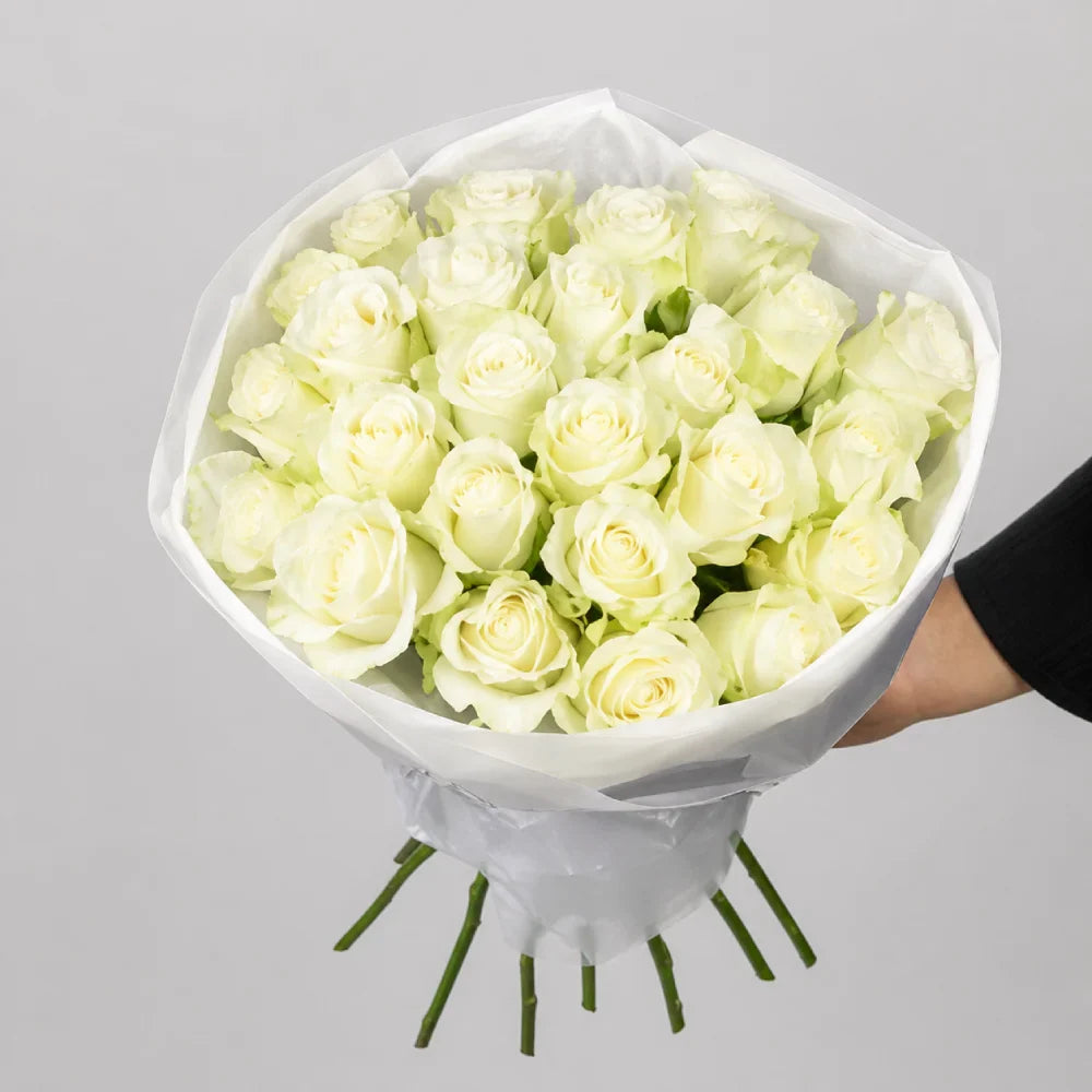 Bouquet of white roses wrapped in white paper held by a person against a gray background