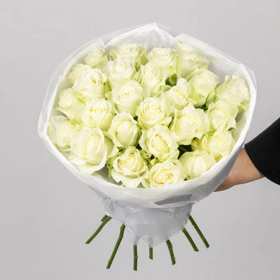 Bouquet of white roses wrapped in white paper held by a person against a gray background