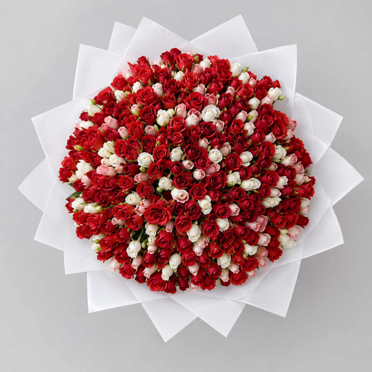 Bouquet of red and white flowers on a gray background