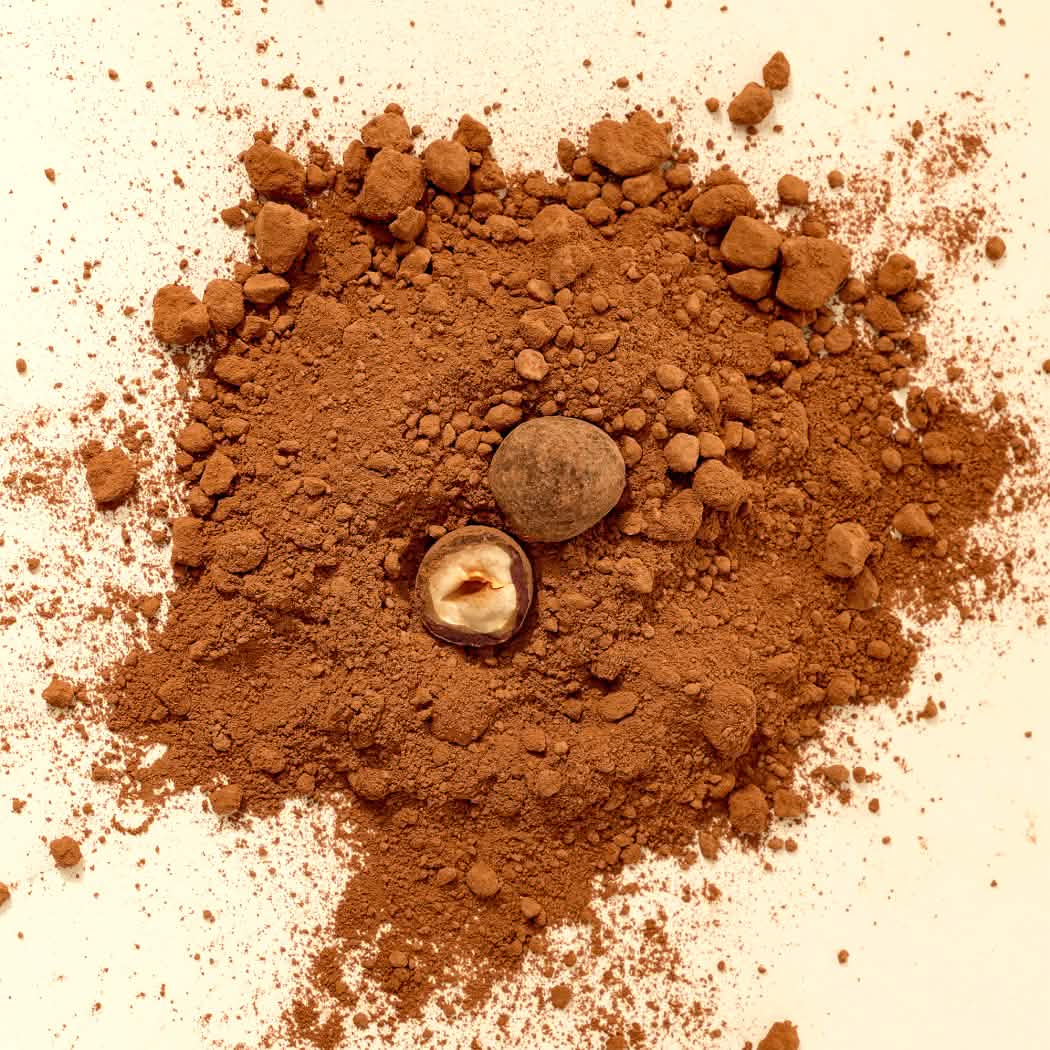 Cocoa powder with two hazelnuts on a beige background