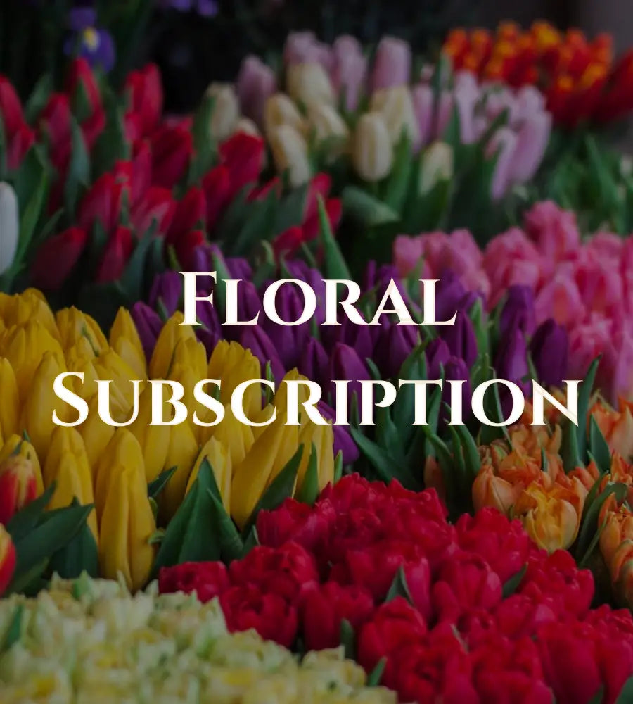 Colorful tulips with 'Floral Subscription' text overlay